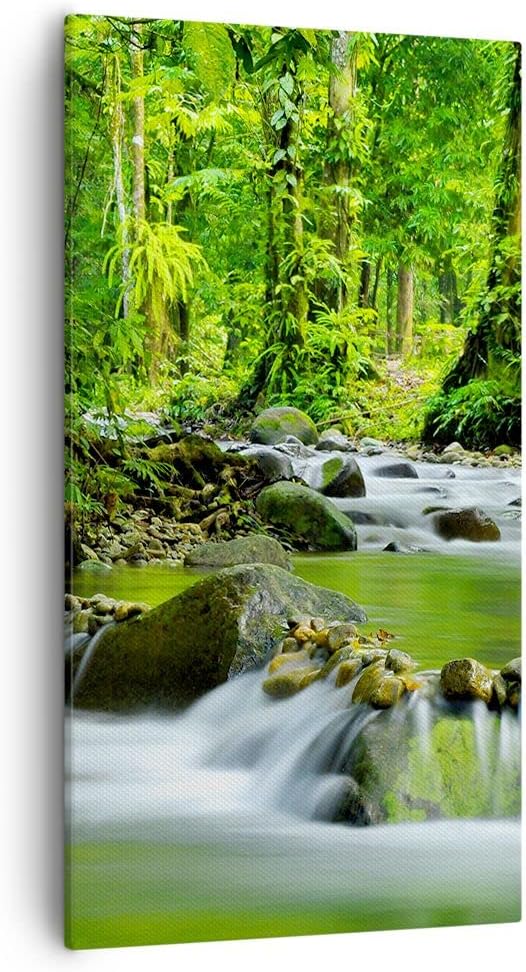 Bilder auf Leinwand 55x100cm Leinwandbild mit Rahmen Stream Wald Natur Gross Wanddeko Bild Schlafzim