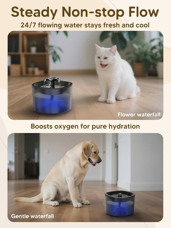 Automatischer Trinkbrunnen für Katzen – 2L Fassungsvermögen, 4‑Stufen‑Filtration, leise Pumpe (, Sch