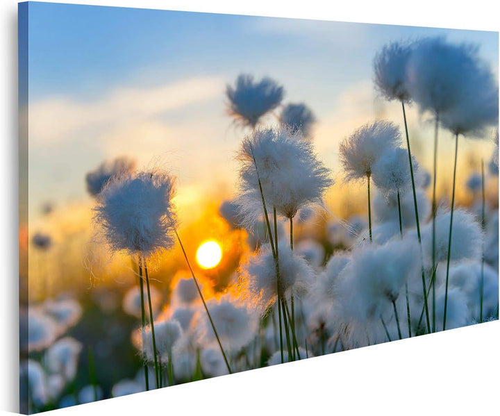 islandburner Bild auf Leinwand Baumwolle Gras Sonnenuntergang Bilder Wandbilder Poster Leinwand 100x