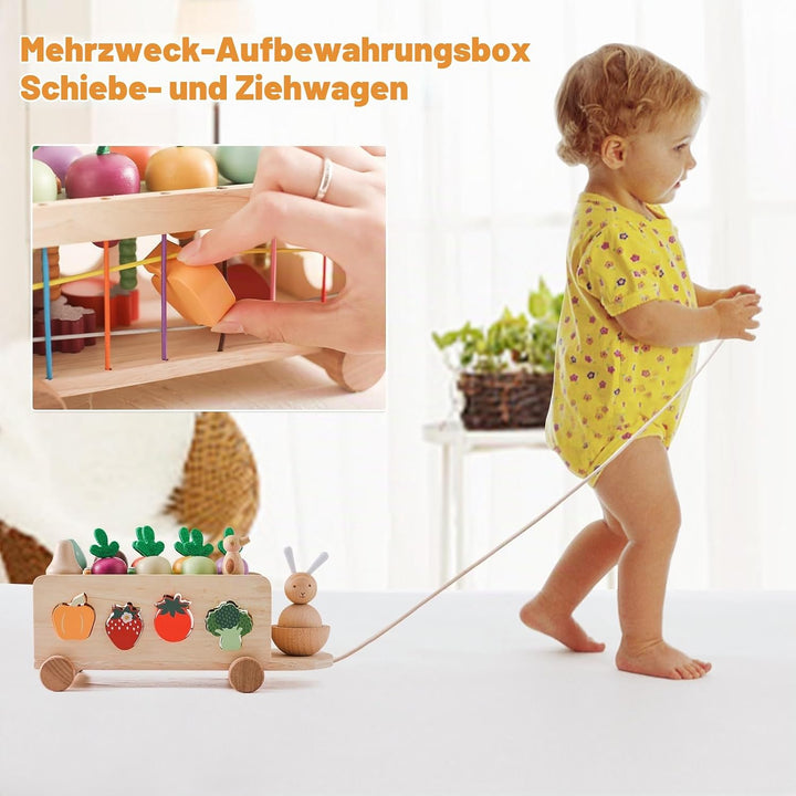 WOODEN TEETHER Montessori Holzspielzeug ab 1 2 3 Jahr, Steckspiel Sortierspiel Holzpuzzle Karottener