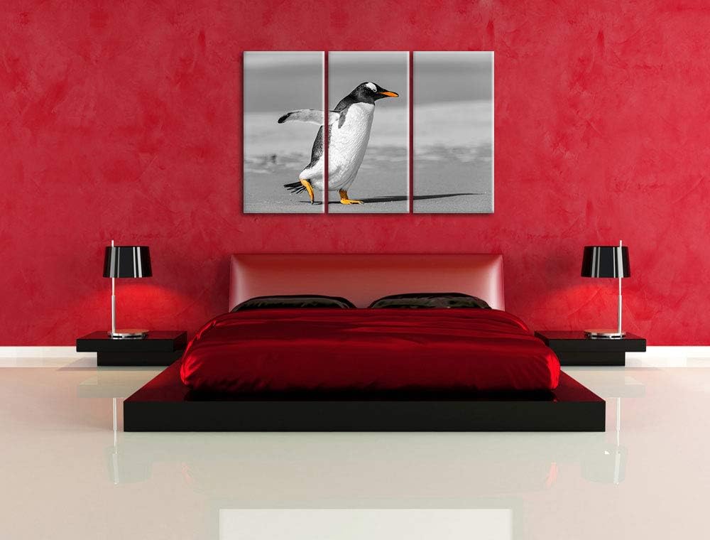 watschelnder Pinguin am Strand schwarz/weiss 3-Teiler Leinwandbild 120x80 Bild auf Leinwand, XXL rie