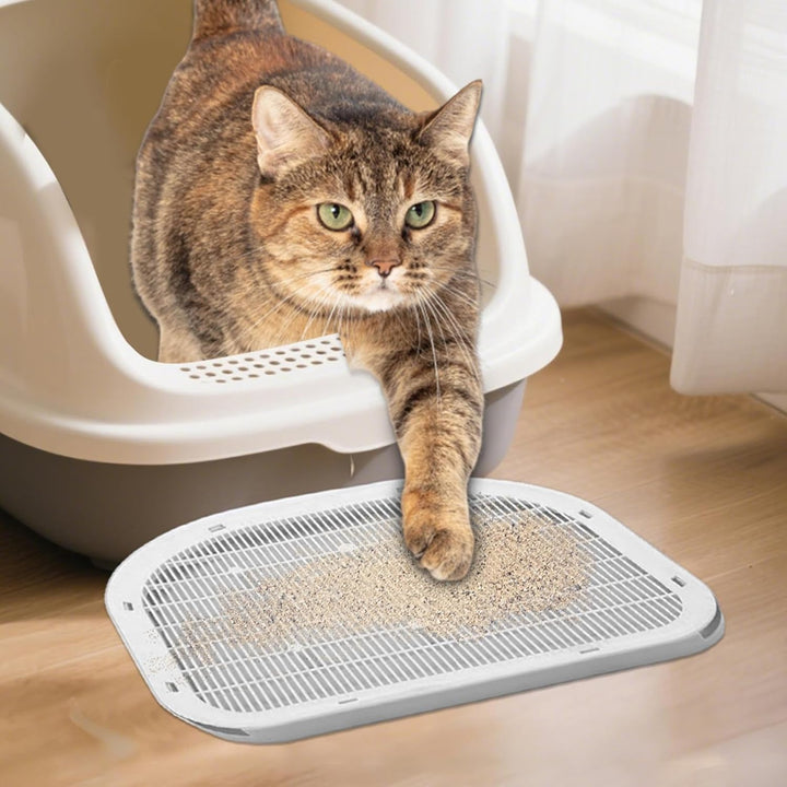 Katzenstreu Stufe, Tritt Mit Filterfunktion, Doppelschichtiger Leicht Zu Reinigender rutschfeste Fän