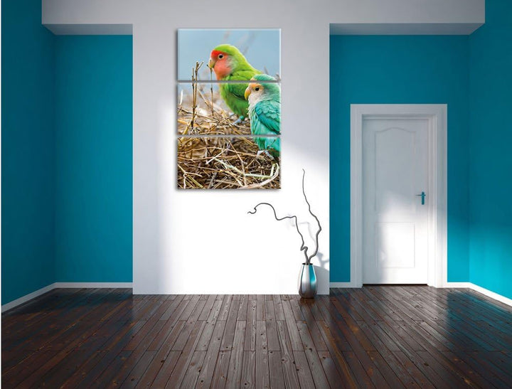 Papageien im Nest 3-Teiler Leinwandbild 120x80 Bild auf Leinwand, riesige Bilder fertig gerahmt mit