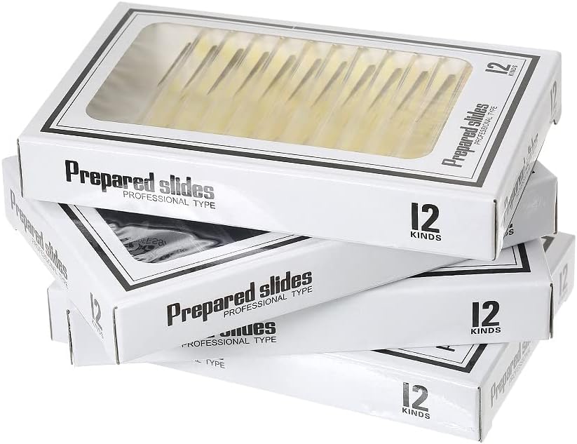 Ninyoon 48pcs Mikroskop Objektträger mit Proben für Kinder - Kinder präpariert Mikroskop Objektträge