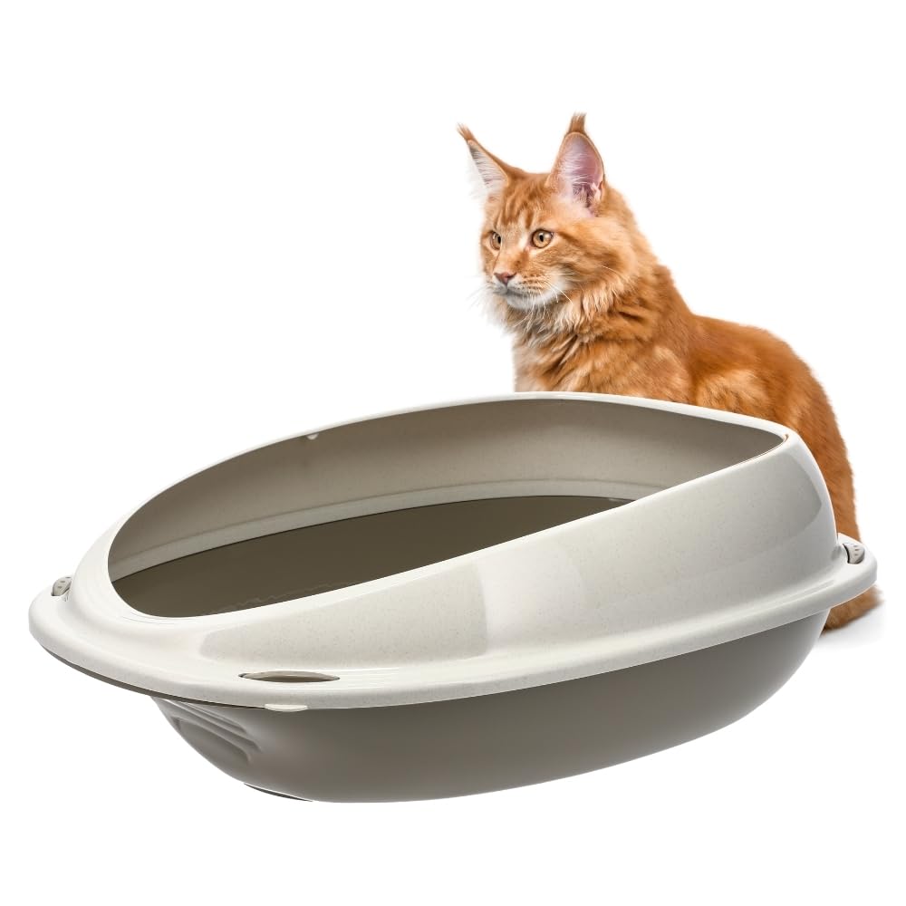 GarPet Katzenklo ohne Deckel 57x40x19 cm Katzentoilette mit Rand Katzen WC Schalentoilette grau oval