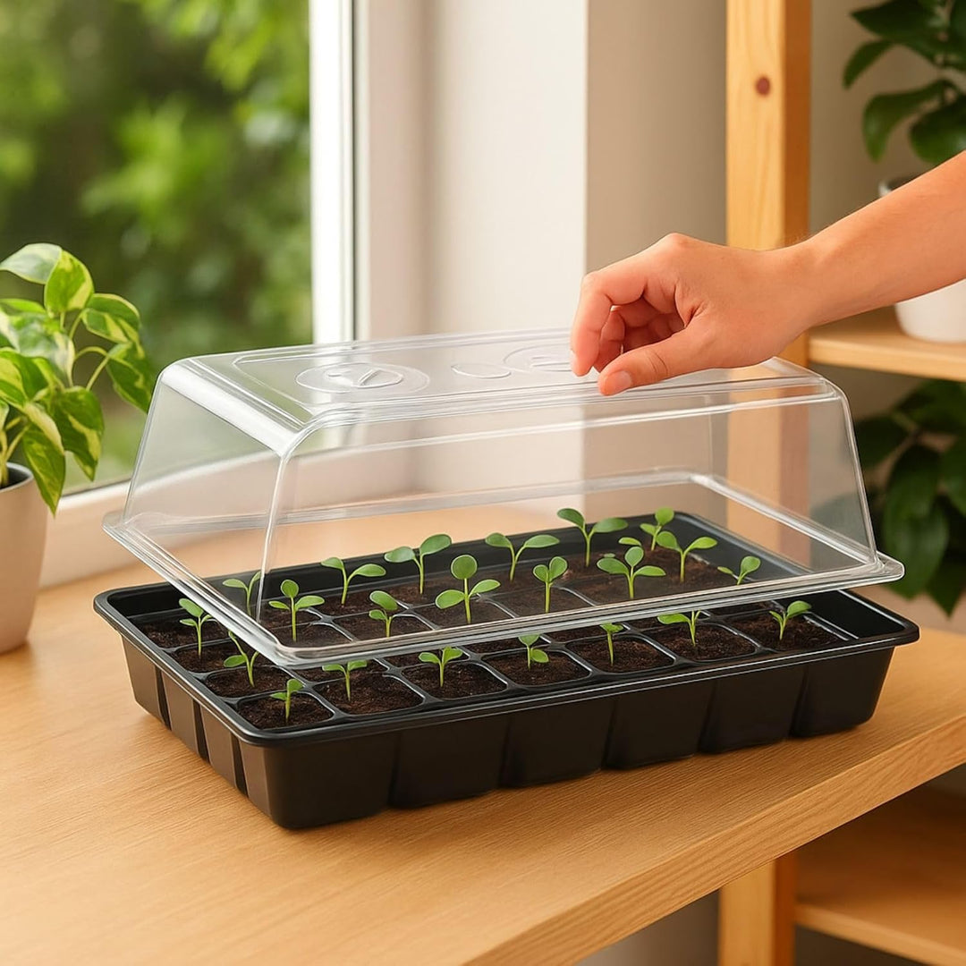 Weedness Gewächshaus Grow 39 x 59 x 21 cm - Grow Anbau Indoor &amp; Outdoor Tomaten Anzucht Mini Zimmer