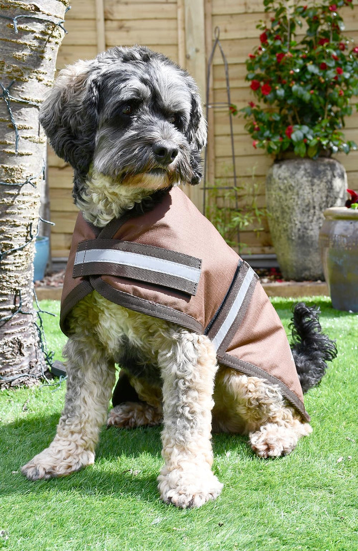 Rhinegold Hundemantel, wasserdicht, 65 cm, Braun braun 26" (65cm), braun 26" (65cm)