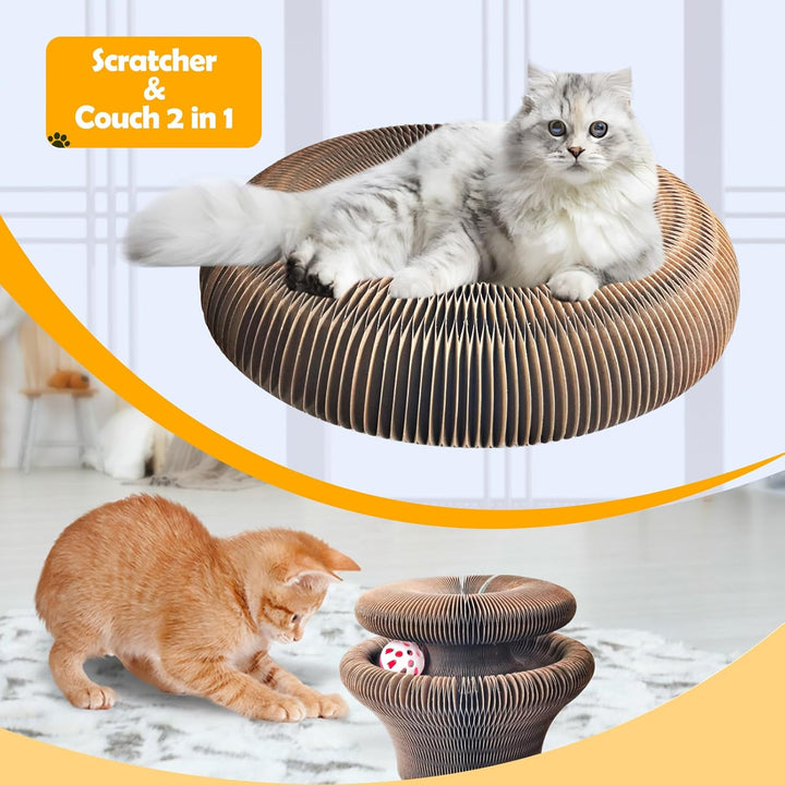 Magic Organ Cat Scratching Board 36cm lang, Katzenspielzeug Selbstbeschäftigung aus Pappe mit Glocke