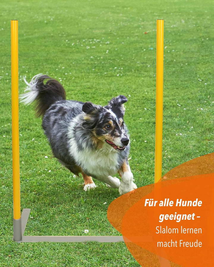 2by2 Weave Poles – Blau – 2er Set Agility-Slalomstangen mit Metallbasis – für Training & Parcoursauf