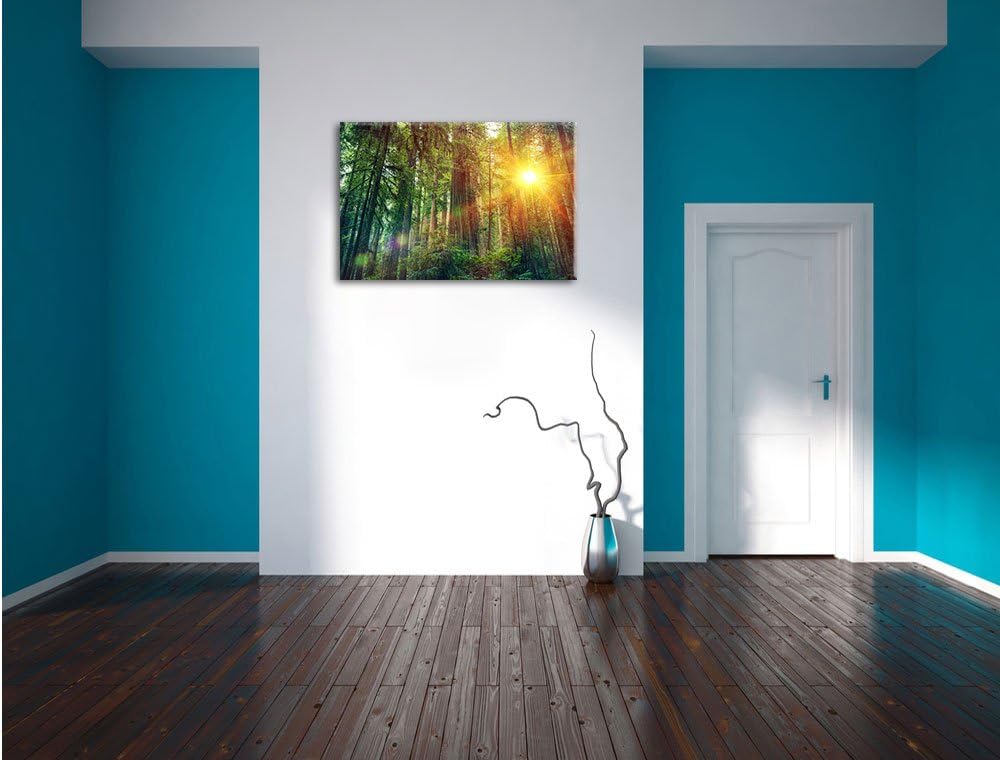 Wald bei Sonnenlicht, Format: 100x70 auf Leinwand, XXL riesige Bilder fertig gerahmt mit Keilrahmen,