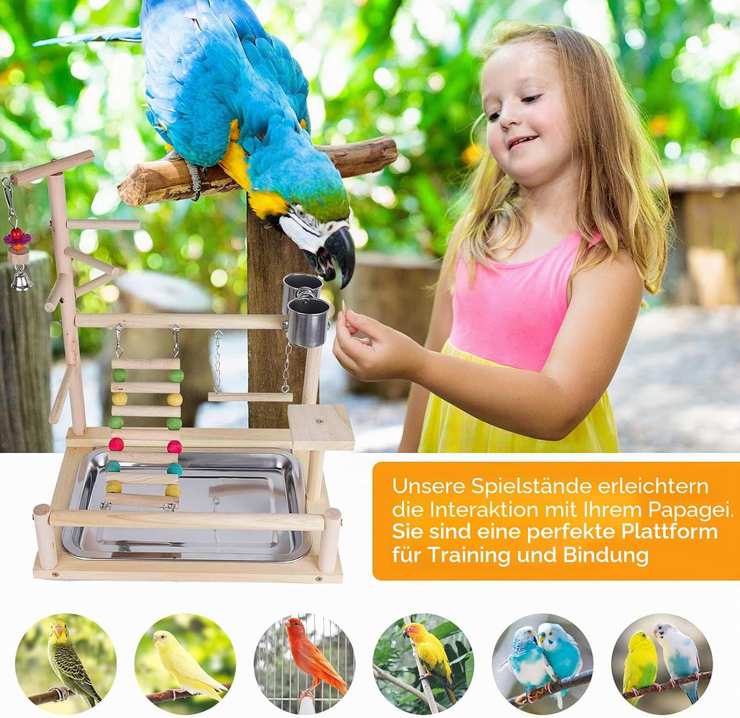 Bird Playground Wood, Parrot Playstand, Spielzeug, käfig, Spielplatz, Nymphensittich Spielzeug, Voge