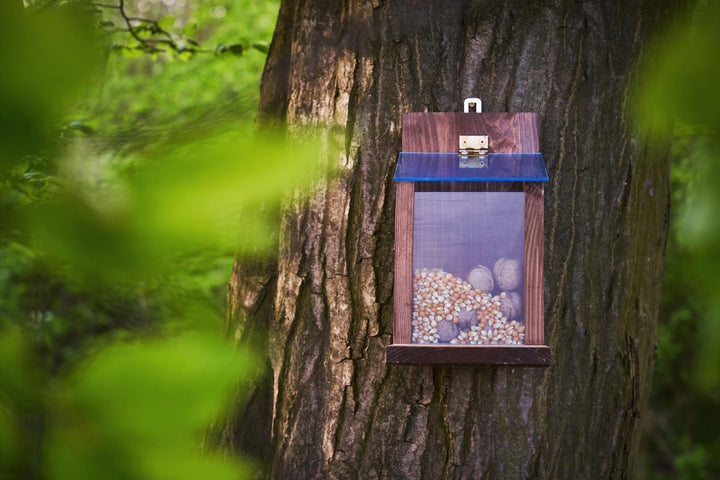 Eichhörnchen Futterhaus aus Holz – Wetterfestes Futterstation für Eichhörnchen mit Acrylglas-Dach –