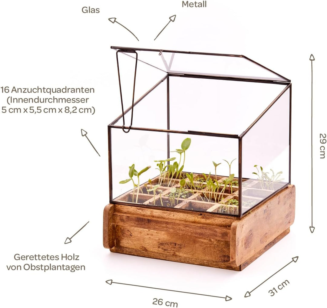 Modernes Gewächshaus als Deko, für Anzucht & für Kräuter | Aus Glas, recyceltem Holz und Metall | Zi