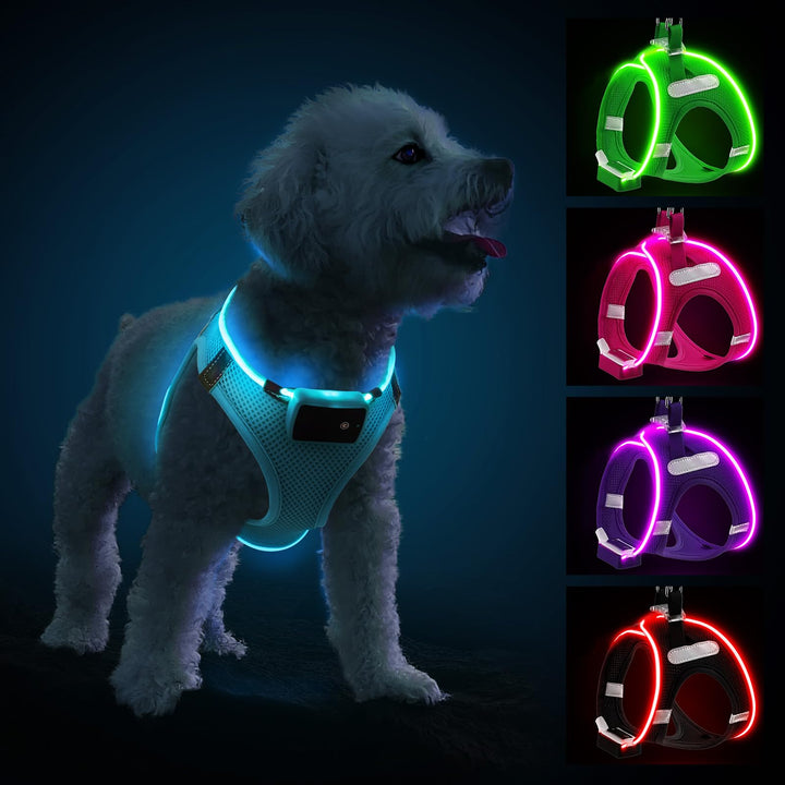 PcEoTllar Hundegeschirr Leuchtend, Leuchtgeschirr LED Aufladbar & Reflektierendes, Beleuchtetes Leuc