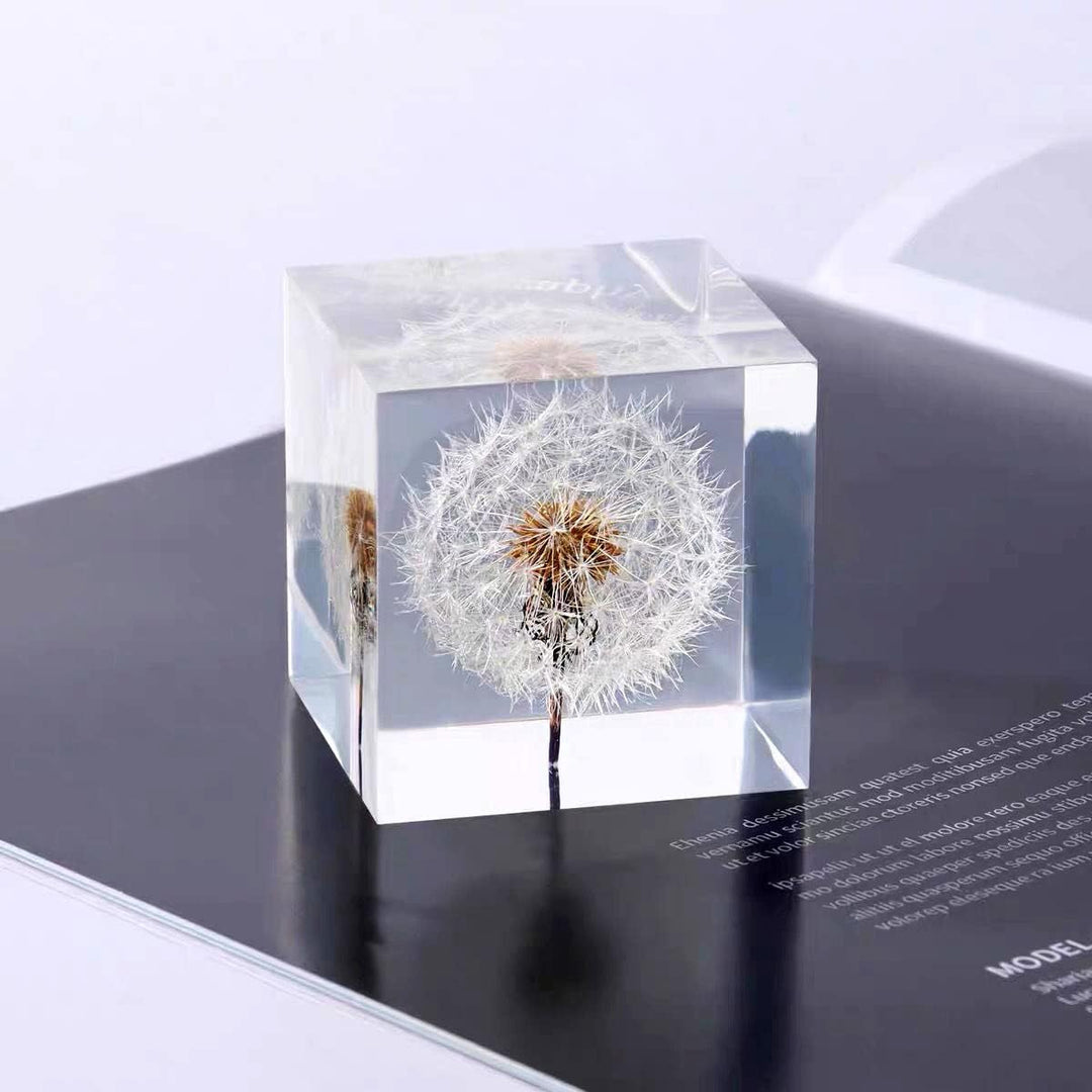 DESHINTKE Briefbeschwerer mit Pusteblume in Würfelform, mit Holzbox, 5,1 cm, transparent, echte Löwe