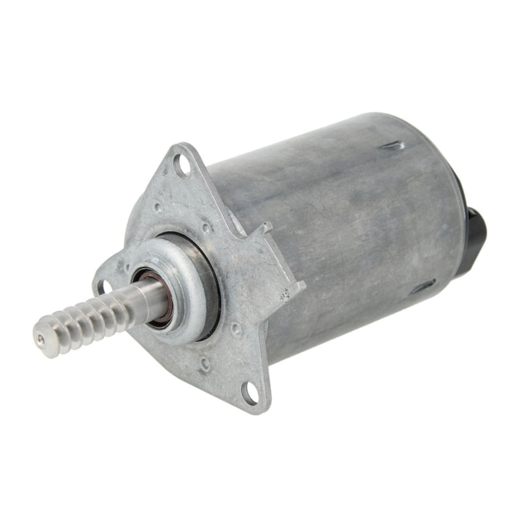 VDO A2C59515108 Stellelement, Exzenterwelle (Variabler Ventilhub)