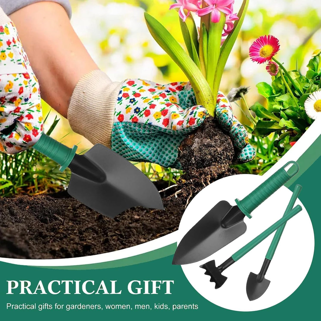 Gartenwerkzeug Set 12-teilig, Edelstahl Gartengeräte mit Ergonomischen Griffen & Aufbewahrungsbox, G