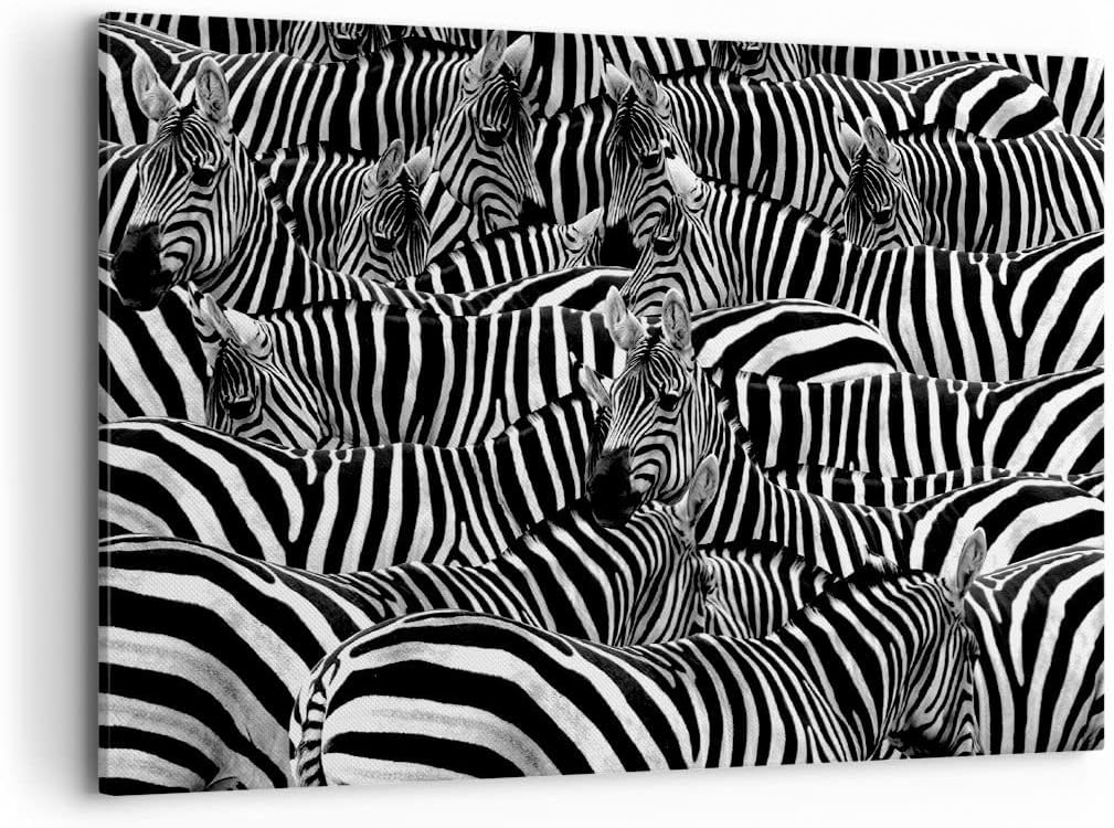 ARTTOR Bilder auf Leinwand 100x70cm Leinwandbild Tiere Zebra Streifen Gross Wanddeko Bild Schlafzimm