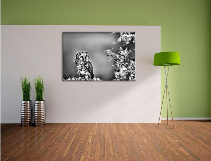 Pixxprint Kauz bestaunt Blatt / 100x70cm Leinwandbild bespannt auf Holzrahmen/Wandbild Kunstdruck De