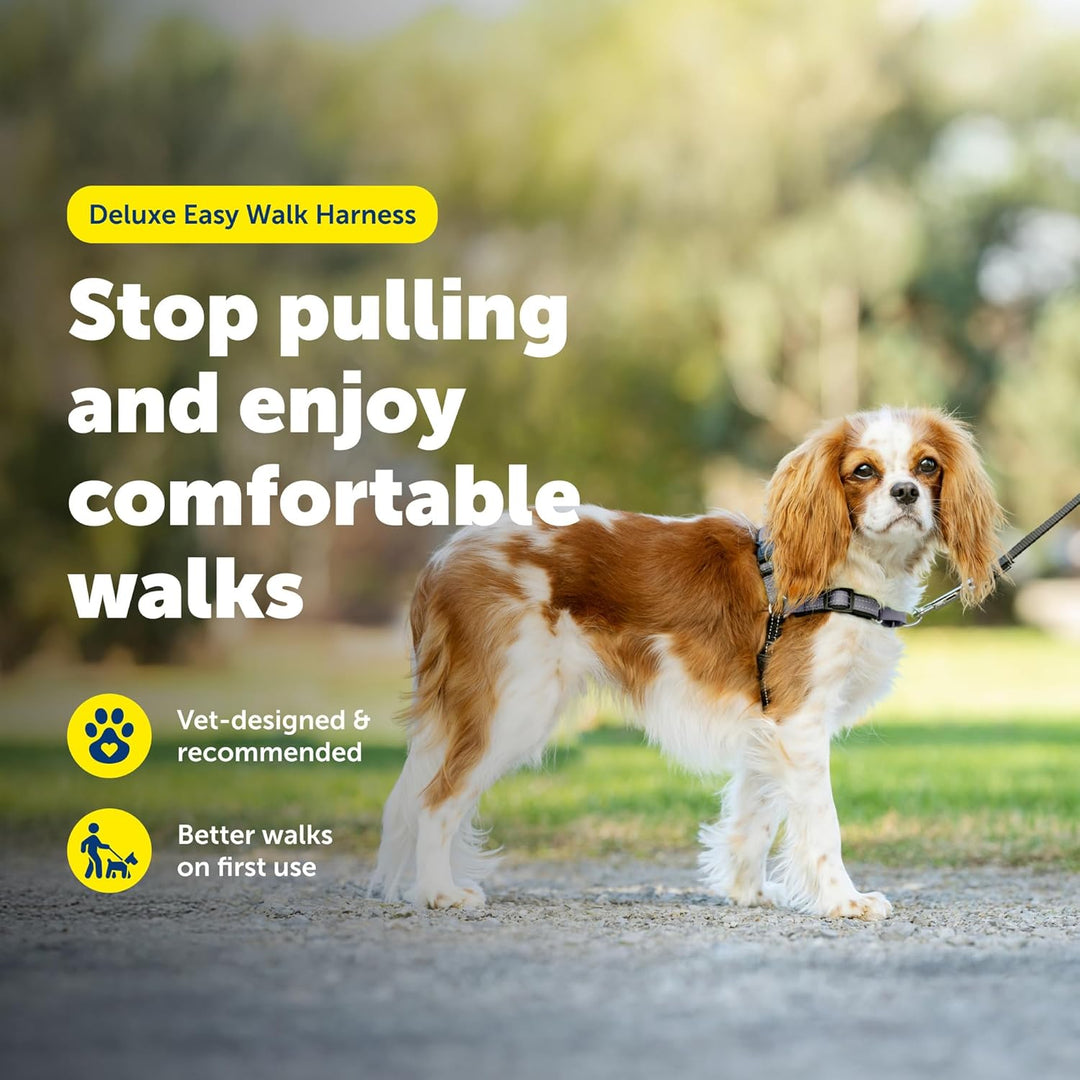 PetSafe Deluxe Easy Walk Hundegeschirr Stahl Small (Pack of 1), Stahl Small (Pack of 1)