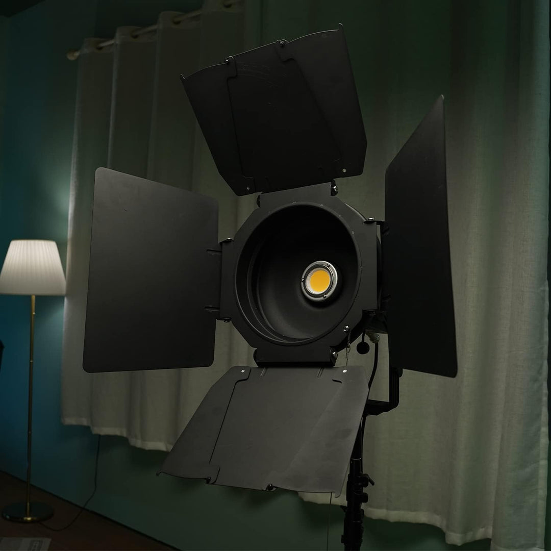 Aputure F10 Barn-Doors - Scheunentüren für Aputure LS 600 Serie, LS 300 Serie, LS 120 Serie, Kompati