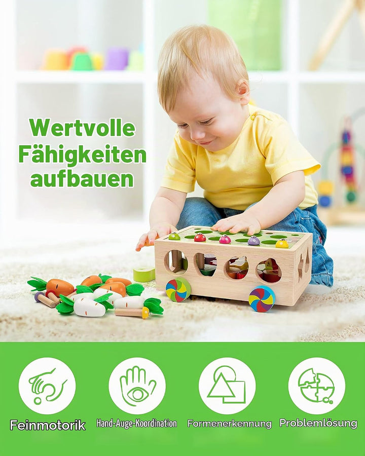 Coogam Montessori Spielzeug, Feinmotorik Spielzeug ab 1 2 3 Jahr | hölzerne Form Sortierer Karotte E