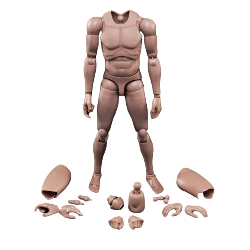 1/6 Männlicher Körper,12'' Europa Haut Actionfigur Körper Spielzeug MX02-A Für 1/6 Kopf Skulptur, A