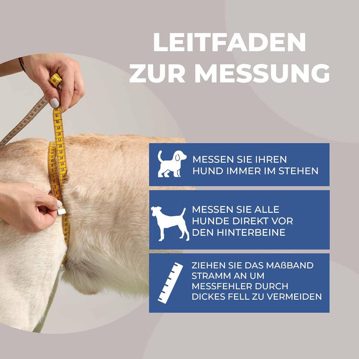 Tragehilfe Hund hinten - Ideal für ältere, kranke oder operierte Hunde - Diese Treppenhilfe für Hund
