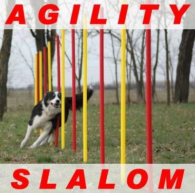 AGILITY-ÜBUNGS-ANFÄNGER-SET MIT SPRUNGRING / SLALOM / HÜRDEN