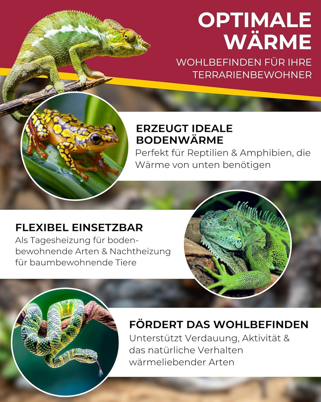 Hobby 10935 Terra-Thermo, Heizkabel, 6 m / 50 W, 6 m / 50 W