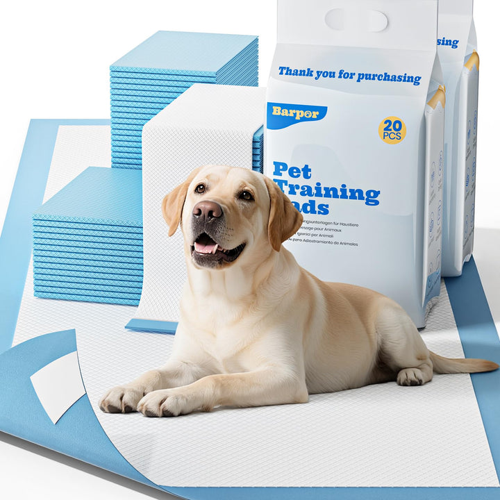Trainingspads für Hunde 60x90cm – 40 Stück Extra Grosse PIPI Matten, Super Saugfähig & Auslaufsicher