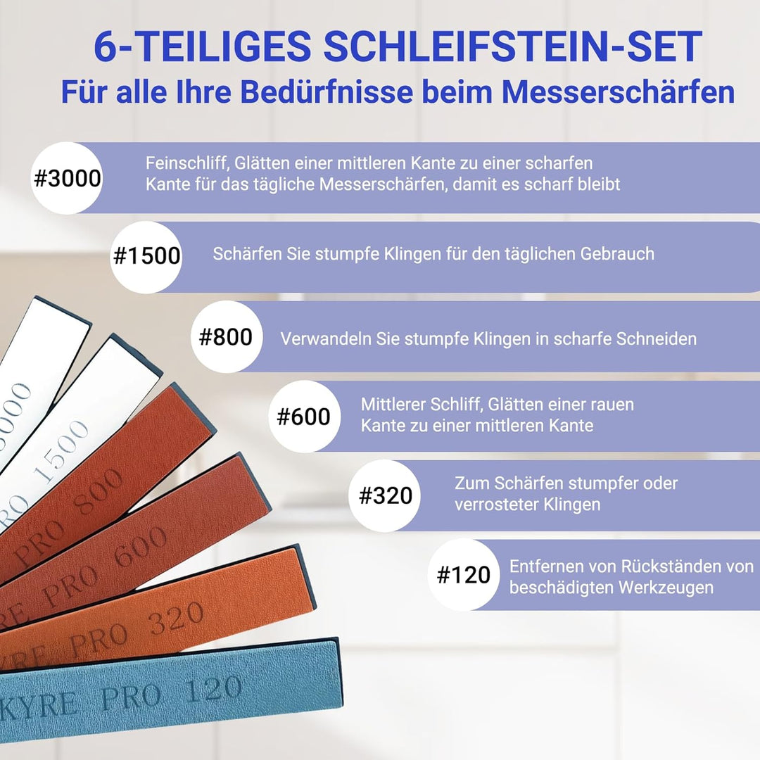Professioneller Messerschärfer, Messerschärfsystem Professioneller mit Schnellspann, Feststehender W