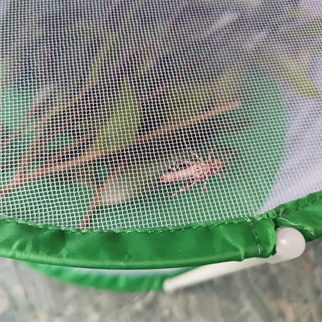 CHICIRIS Butterfly Habitat, Transparenter Monarch-Schmetterlings-Insektenkäfig, Zusammenklappbares Z