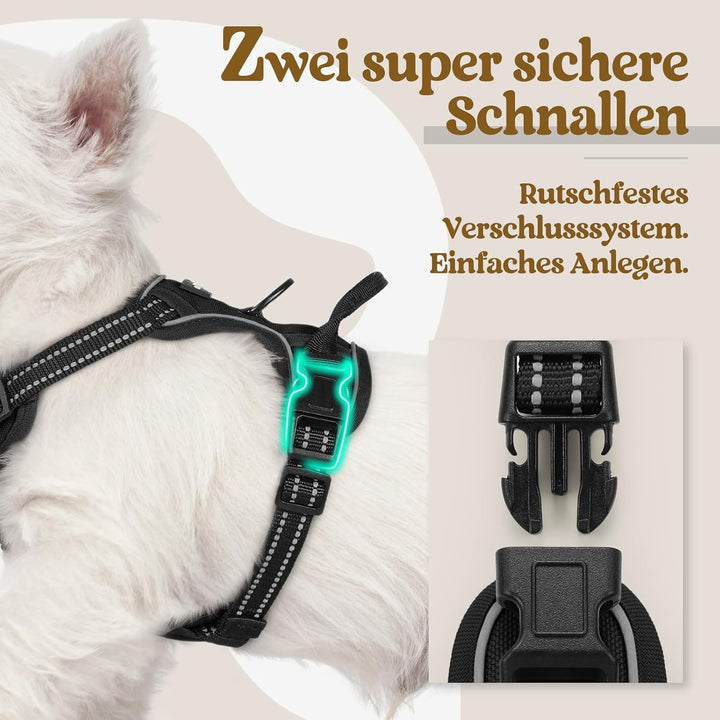 rabbitgoo Hundegeschirr Kleine Hunde, Anti Zug Geschirr mit Kontrolle, No Pull Verstellbar Hundegesc
