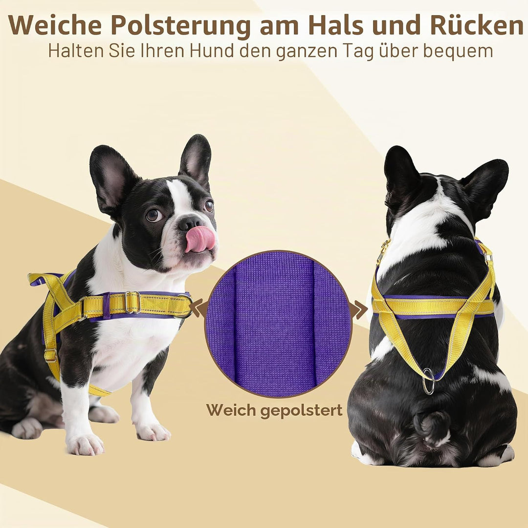 AIITLE Verbessertes Anti-Zug-Hundegeschirr mit weich gepolstertem Griff, Reflektorstreifen und Schne