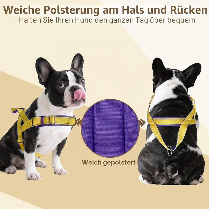 AIITLE Verbessertes Anti-Zug-Hundegeschirr mit weich gepolstertem Griff, Reflektorstreifen und Schne