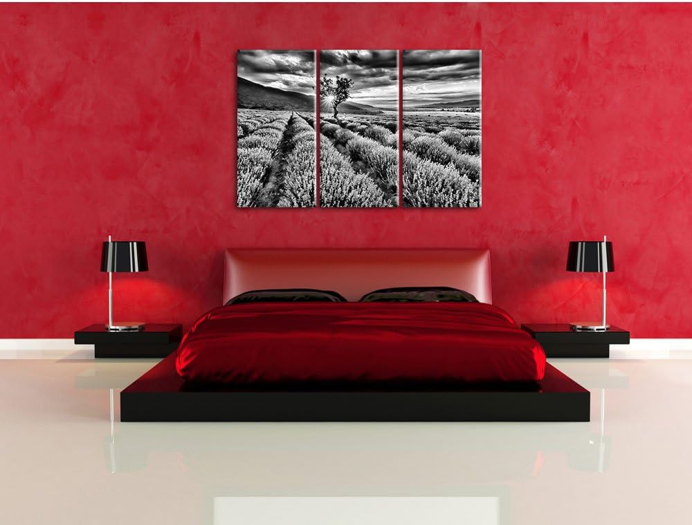Pixxprint Lavendel Provence als Leinwandbild/Grösse: 3 Teilig (120x80) cm/Wandbild/Kunstdruck/fertig
