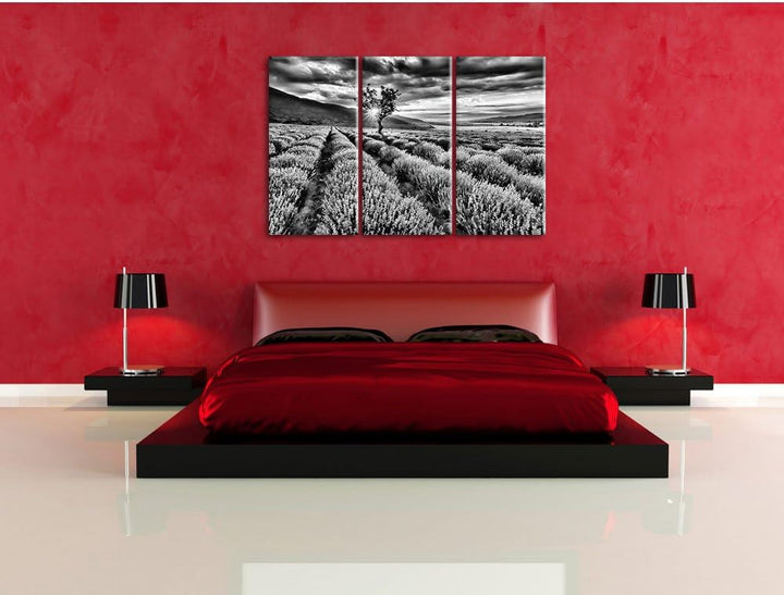 Pixxprint Lavendel Provence als Leinwandbild/Grösse: 3 Teilig (120x80) cm/Wandbild/Kunstdruck/fertig