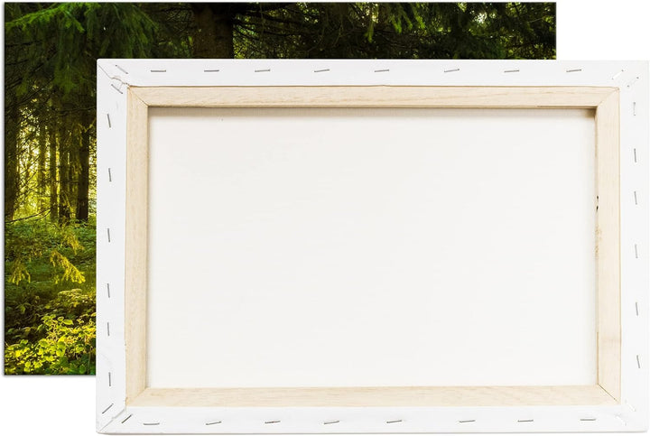 deyoli atemberaubende Waldlichtung Format: 80x60 als Leinwandbild, Motiv fertig gerahmt auf Echtholz
