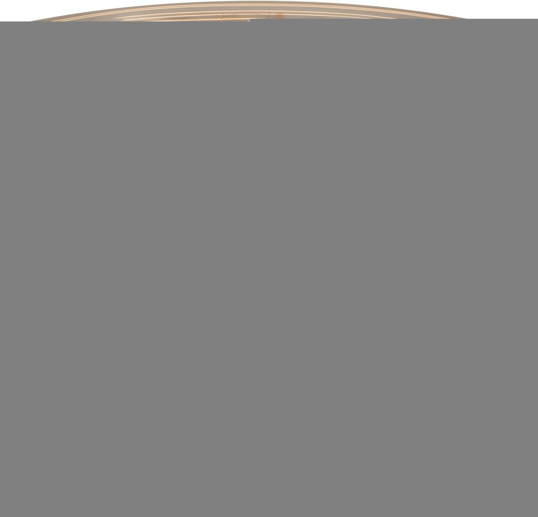 Meinl Cymbals Classics Custom Dark Trash China 16 Zoll (Video) Schlagzeug Becken (40,64cm) B12 Bronz