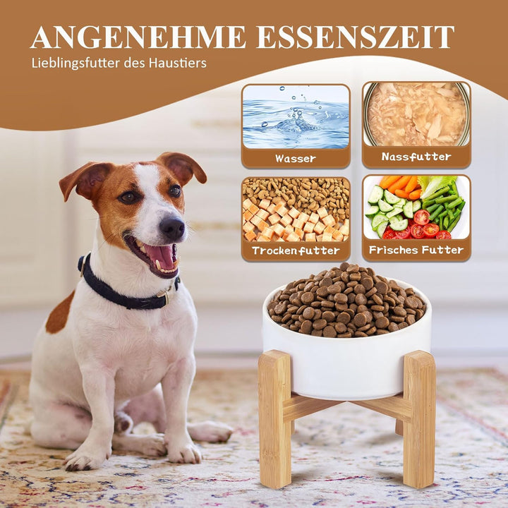 Grün Keramik Hundenapf Futternapf Fressnapf Napf katzennäpf Hoch für Hund Katzen Bambusgestell Ständ
