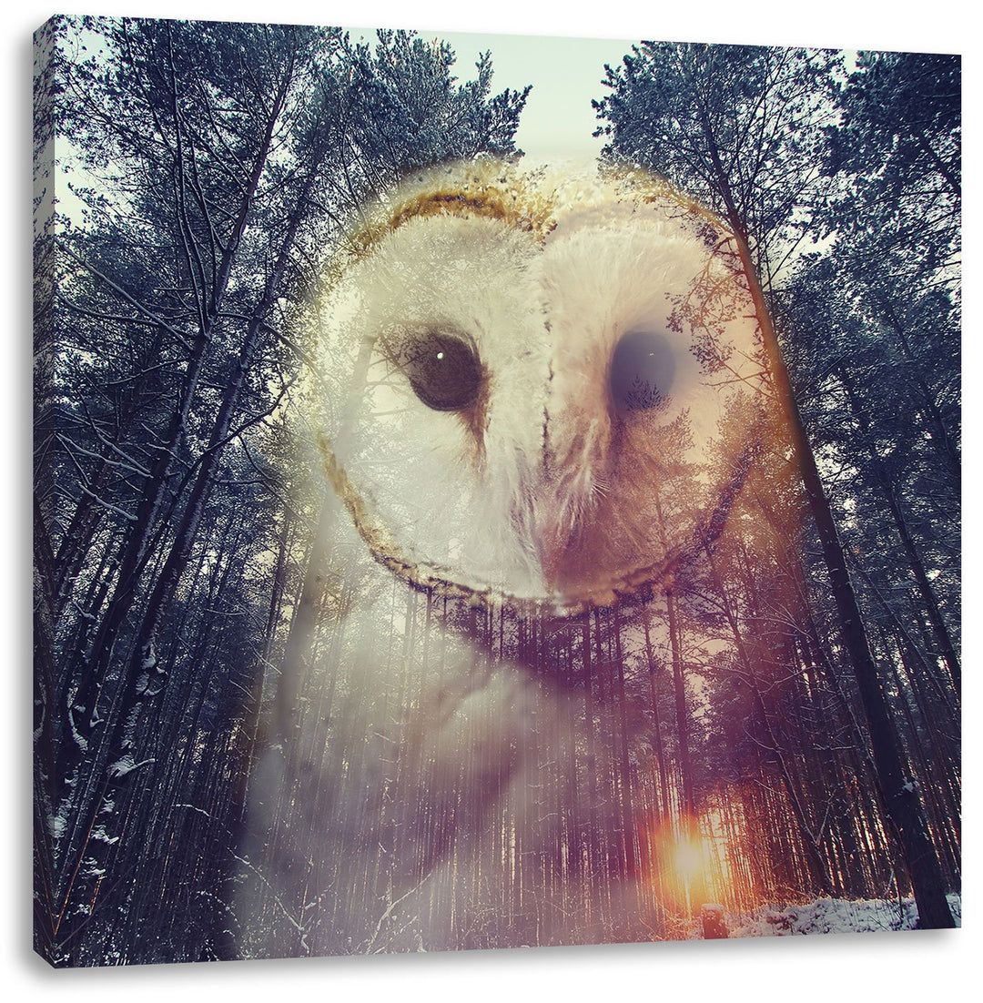 Pixxprint Portrait Einer Eule als Zeichen des Waldes, Format: 70x70 auf Leinwand, 70x70