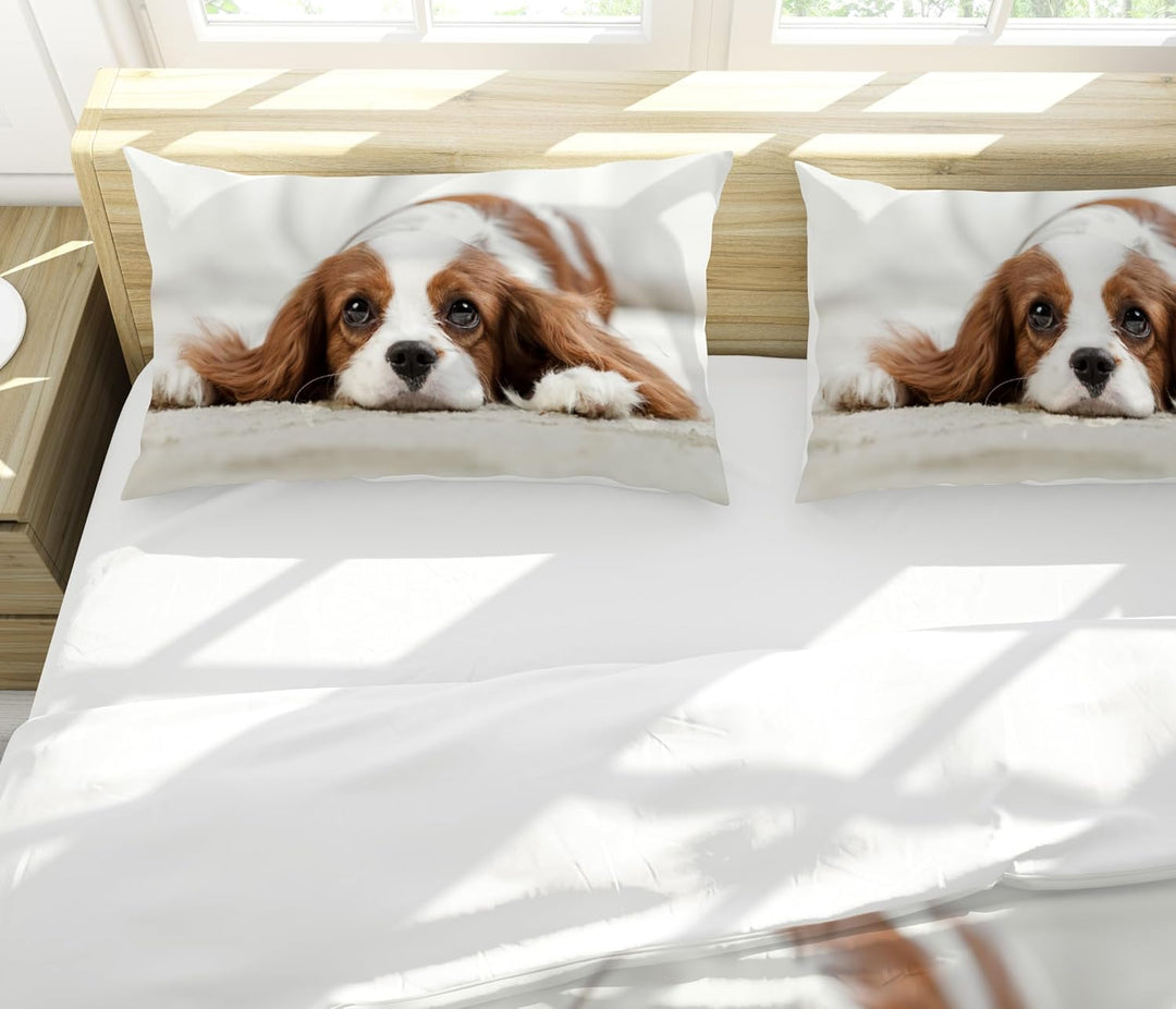 Hoimlm Hund Bettwäsche 220x240 Kinder Erwachsene Bettbezug Kopfkissenbezug, Microfaser Bettbezug Set