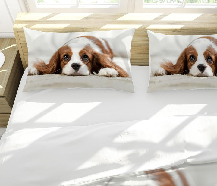Hoimlm Hund Bettwäsche 220x240 Kinder Erwachsene Bettbezug Kopfkissenbezug, Microfaser Bettbezug Set