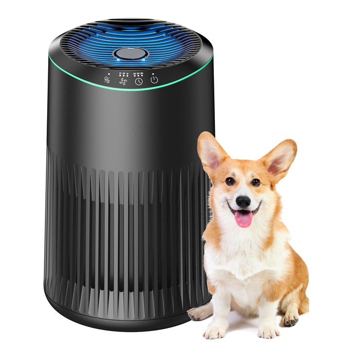 MERONTE Luftreiniger Schlafzimmer allergischer Luftreiniger,Matt schwarz | Air Purifier für Zuhause,