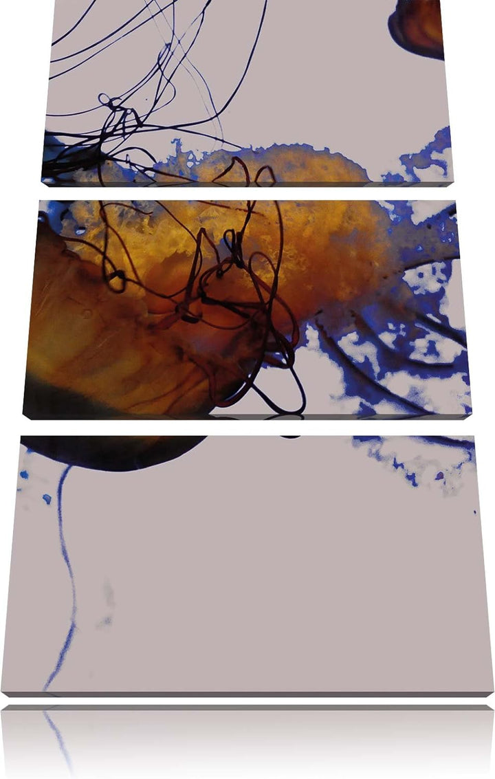 Pixxprint anmutige Qualle im Wasser als Leinwandbild/Grösse: 3 Teilig (120x80) cm/Wandbild/Kunstdruc
