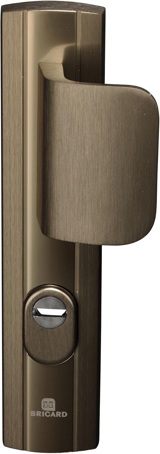Bricard 9910091 Türgriff-Set, abgeschirmt, auf Expressionsplatte + Spoiler, für Eingangstür, Bernste