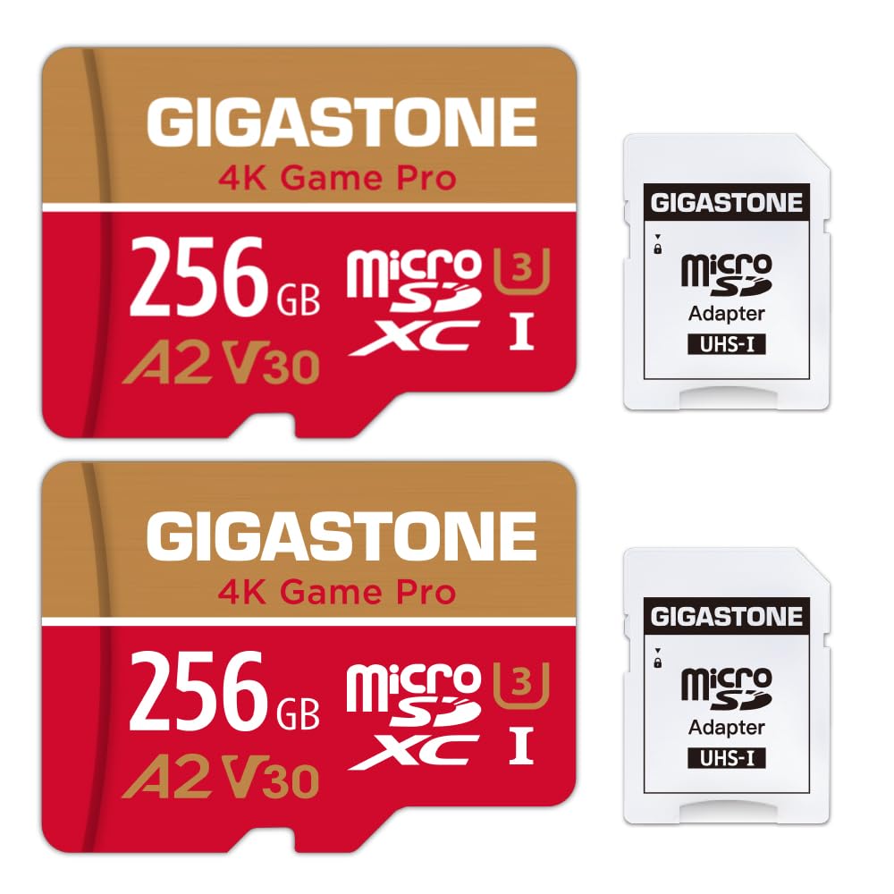 [5 Jahre kostenlose Datenwiederherstellung] Gigastone 4K Game Pro 256GB MicroSDXC Speicherkarte 2er-