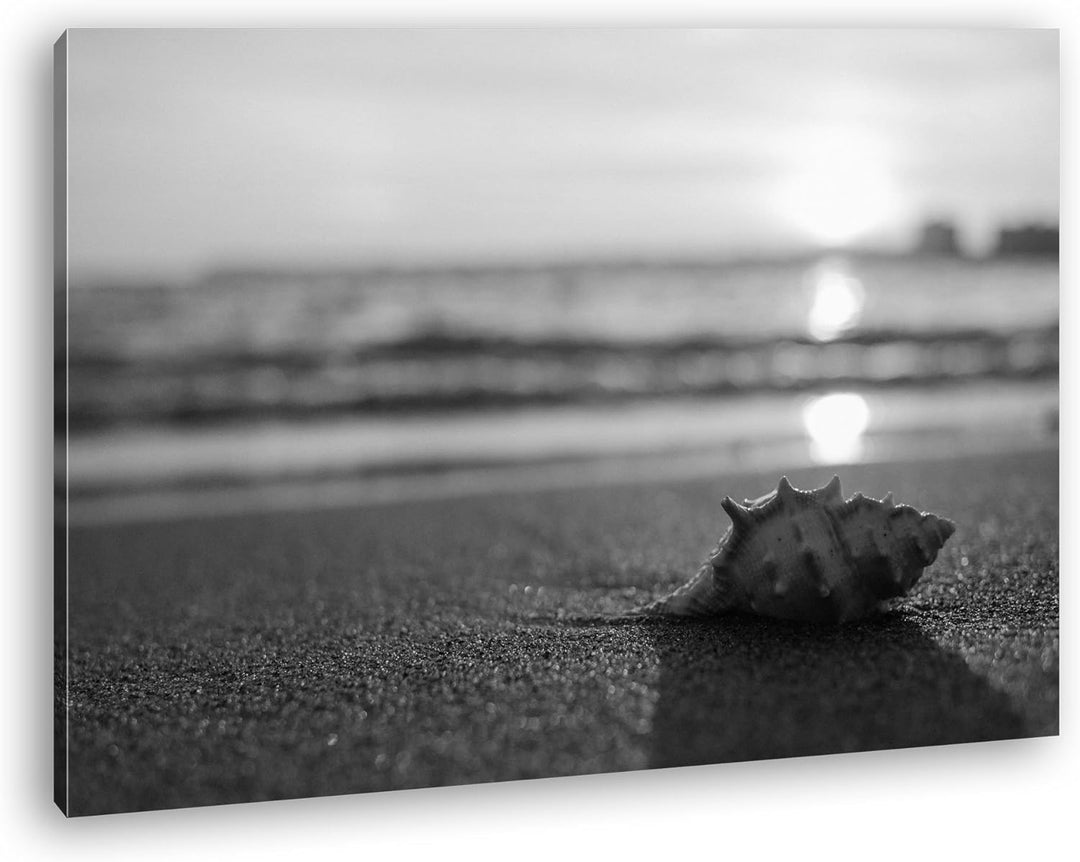 deyoli einzelne Muschel am Strand Effekt: Schwarz/Weiss Format: 80x60 als Leinwand, Motiv fertig ger