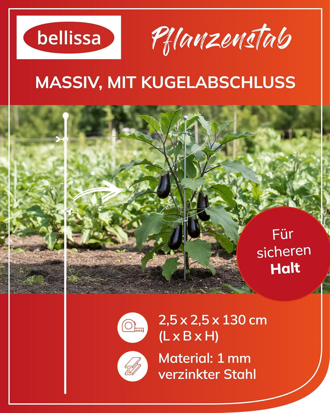 Pflanzenstab Rankhilfe Pflanzen stütze Rankstäbe Pflanzenstäbe Pflanzenstütze Gartenstab Rankstab -